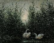 Caspar David Friedrich Schwane im Schilf oil painting